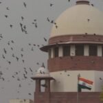 Pollution: क्या वायु प्रदूषण से मुक्ति पाना संभव है? सर्वोच्च न्यायालय की फटकार से जागेंगी एजेंसियां?