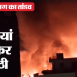 Delhi Fire: उत्तम नगर की मछली मार्केट में भीषण आग, कई झुग्गियां जलकर राख; कई मीटर उठी लपटें और धुएं का गुबार